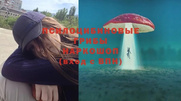 соль ск Покров