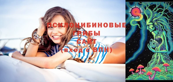 соль ск Покров
